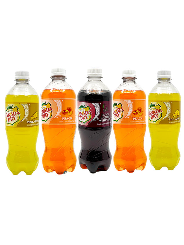 Canada Dry Bundle