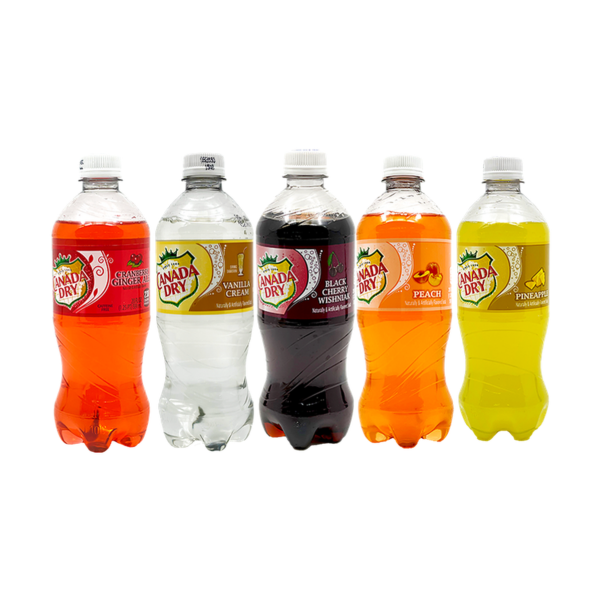 Canada Dry Bundle