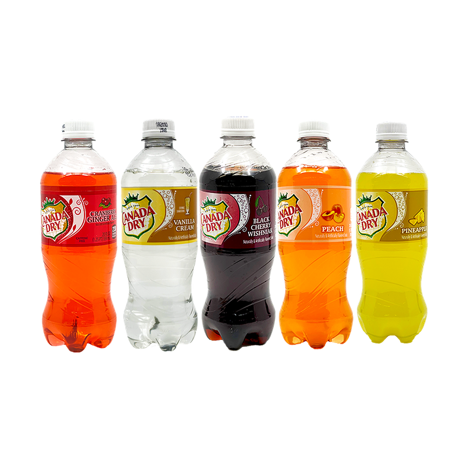 Canada Dry Bundle