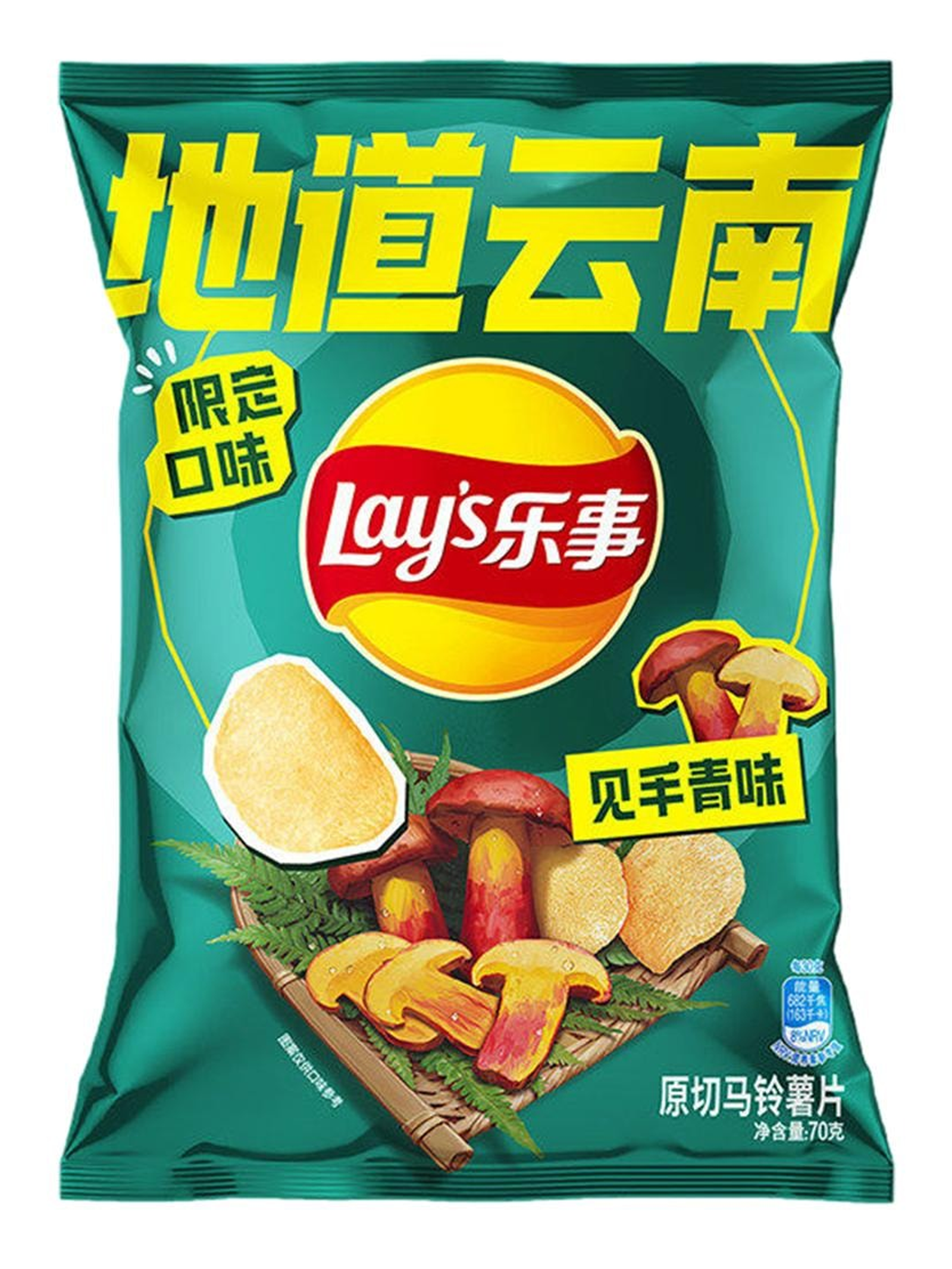 Lay's Wild Porcini Mushroom