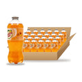Canada Dry Peach 20 oz, 24 Pack