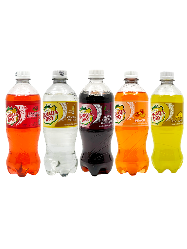 Canada Dry Bundle