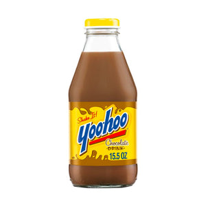 Yoo-hoo Chocolate Drink 15.5 oz Case
