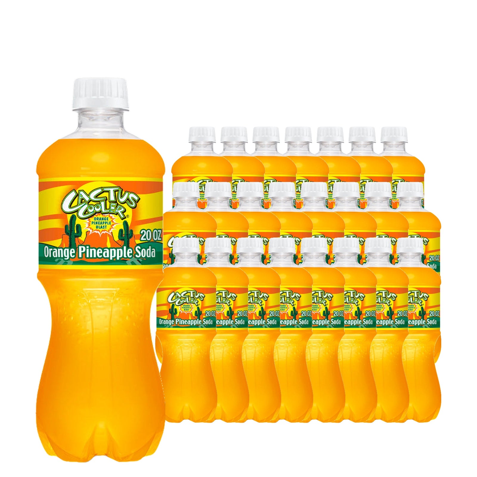 Cactus Cooler 20 oz, 24 Pack