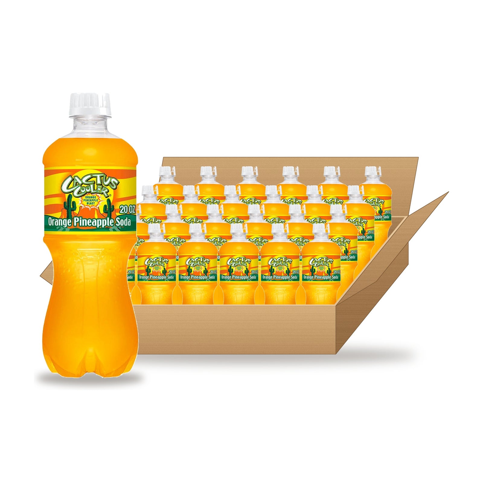 Cactus Cooler 20 oz, 24 Pack: one bottle in front of an open case