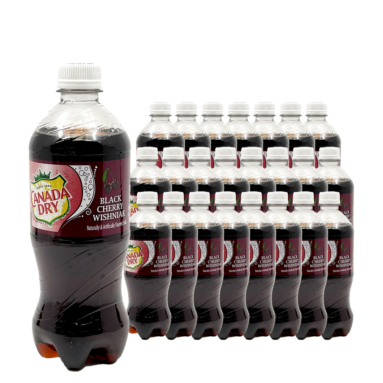 Canada Dry Black Cherry Wishniak 20 oz 24 pack case pack shot