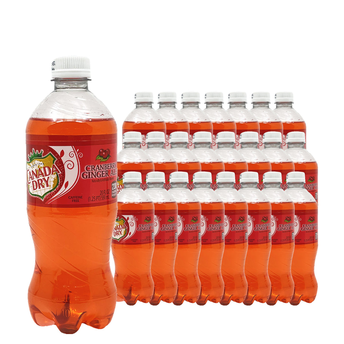 Canada Dry Cranberry 20 oz 24 pack case pack shot