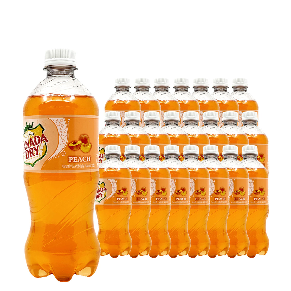 Canada Dry Peach 20 oz 24 pack case pack shot