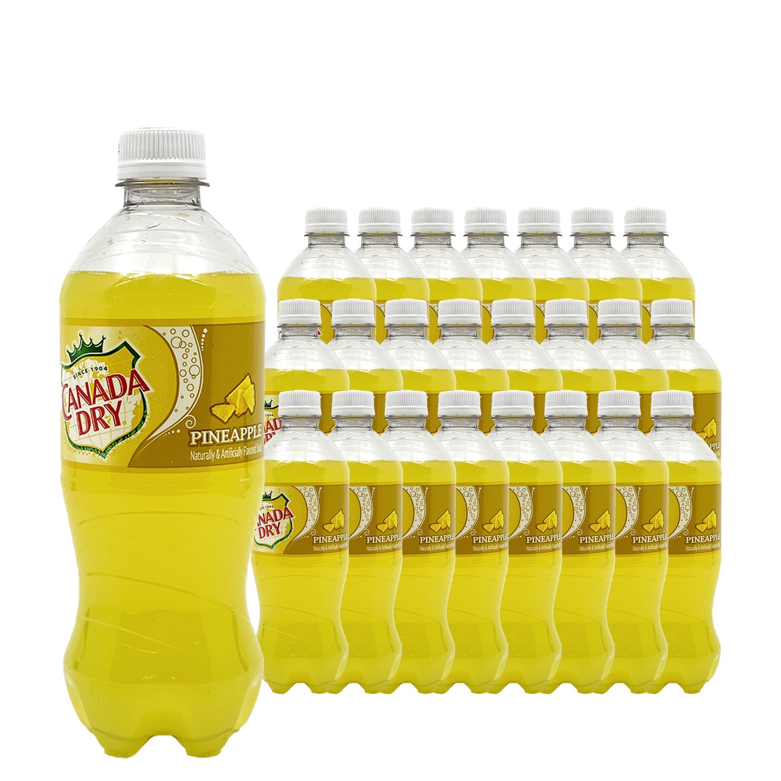 Canada Dry Pineapple 20 oz 24 pack case pack shot